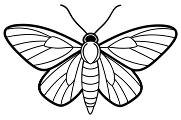 Minimalist Moth Art