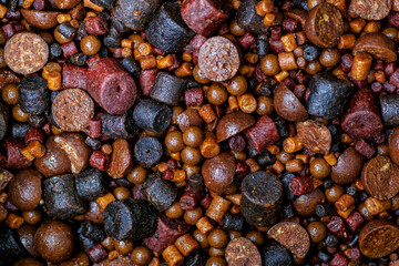 Carpfishing session at the Lake.Background of boilies and trout pellets, fishing baits for carp.Round boilies used as bait for carp fishing. Bait for fishing in the form of balls
