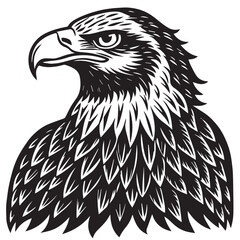 Isolated vector illustration of a wild eagle head, a predatory bird portrait