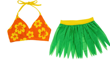 Isolated hula skirt and bikini top