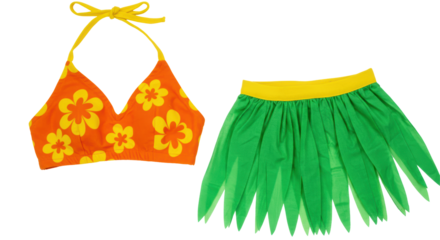 Isolated hula skirt and bikini top