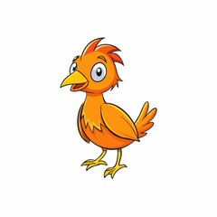 rooster isolated on white background