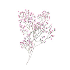 Pink gypsophila romantic bouquet watercolor illustration isolated background. Delicate hand painted baby breath flower. For wedding invitations, bridal branding, stationery, nursery decor, packaging.