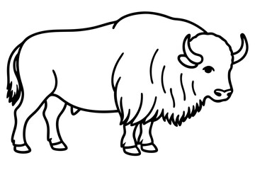Musk Ox Outline Design