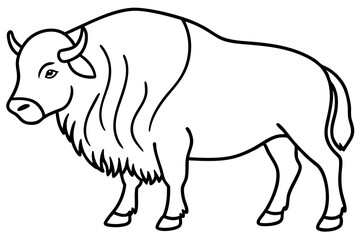 Musk Ox Outline Design