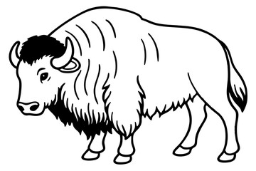Obraz premium Musk Ox Outline Design