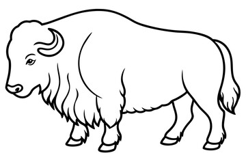 Musk Ox Outline Design