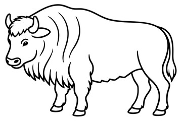Musk Ox Outline Design