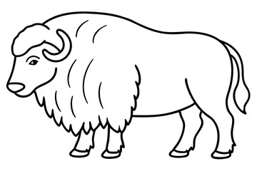 Musk Ox Outline Design