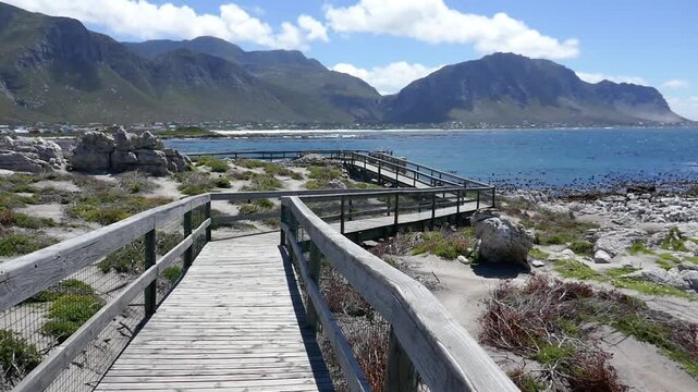 Walking trail at Stony Point in Bettys Bay marine protected area, Western Cape, South Africa.