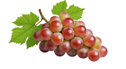Isolated Bunch of Grapes