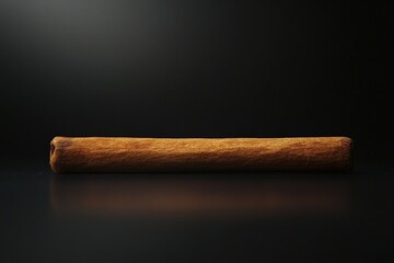 A single cinnamon stick lies horizontally on a dark surface