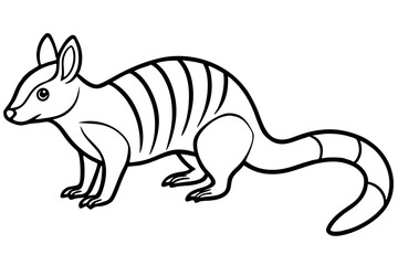 Numbat Outline Vector