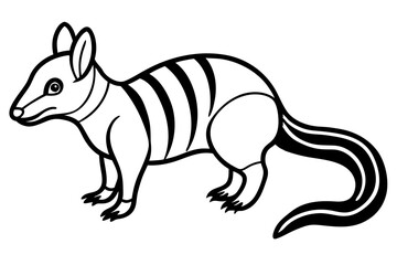 Fototapeta premium Numbat Outline Vector