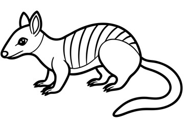 Numbat Outline Vector