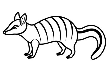 Numbat Outline Vector