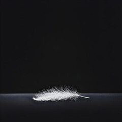 Obraz premium Graceful Simplicity: The Elegance of a Feather in Minimalism