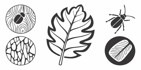 Black and White Leaf Beetle Bug Nature Icons Wood Cracked Earth Feather Textures Outline Vector Graphics