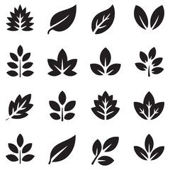 Collection of leaf icons. Vector Black silhouettes. with white background