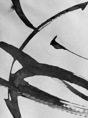 black and white, isolated, branch, abstract, silhouette, white, vector, illustration, nature, art, animal, drawing, ink, splash, light, doodle, hand, sketch, paper