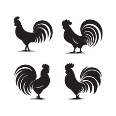 vector illustration of a Chicken