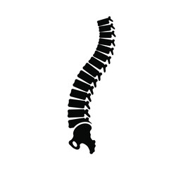 Human Spinal Column Anatomy Silhouette Vector Illustration For Medical Or Educational Use