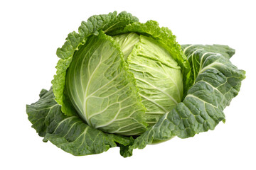 Obraz premium Fresh Whole Green Cabbage Head Isolated on a Light Background.