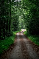 Fototapeta premium there is a dirt road that is winding through the woods