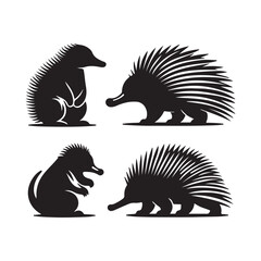 vector illustration of a Porcupine