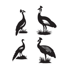 set of birds silhouettes