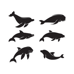 silhouette of a dolphin