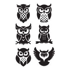 set of owl