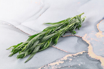 Fresh green estragon aroma stem