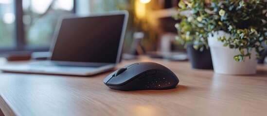 Laptop, mouse on wooden desk, plant