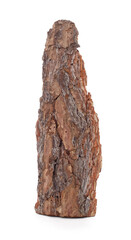 A piece of tree bark is damaged by a scab.