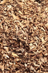 Wood Chips Pile Ground Natural Texture Background