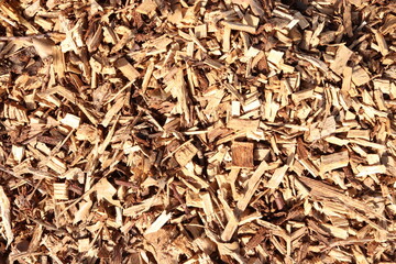 Wood Chips Pile Ground Natural Texture Background