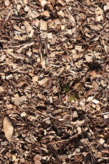 Wood Chips Pile Ground Natural Texture Background