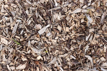 Wood Chips Pile Ground Natural Texture Background
