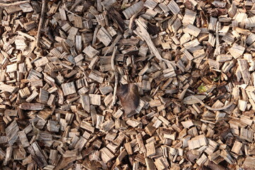 Wood Chips Pile Ground Natural Texture Background