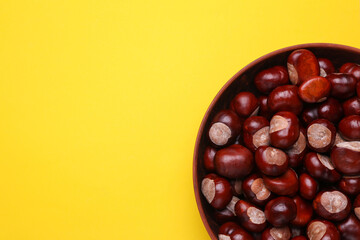 Lots of chestnuts in a bowl on yellow background. Top view