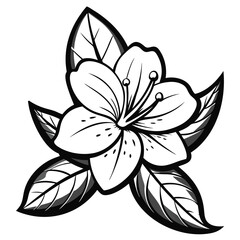 Obraz premium Black and White Flower Illustration. Simple Floral Line Art Design