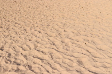 Beach Sand Ripples Natural Texture Background