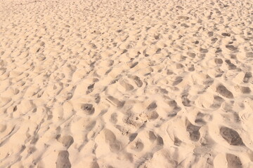 Beach Sand Ripples Natural Texture Background
