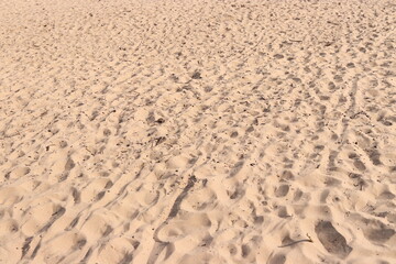 Beach Sand Ripples Natural Texture Background