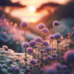Dreamy Sunset Over Lavender Wildflowers – Soft Bokeh Landscape Photography