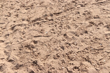 Beach Sand Ripples Natural Texture Background