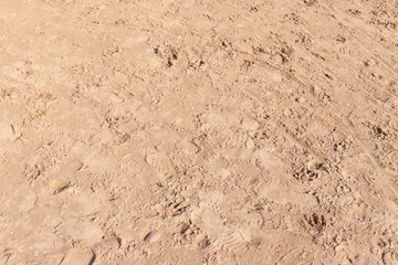 Beach Sand Ripples Natural Texture Background