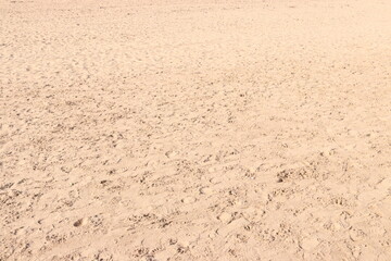 Beach Sand Ripples Natural Texture Background