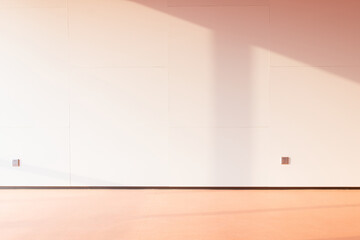 The empty floor and the white walls